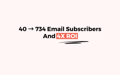 Elise, a Decluttering Coach went from 40 to 734 Subscribers + got a 4x ROI